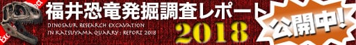 福井恐竜発掘調査レポート2018