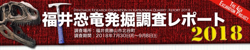 福井恐竜発掘調査リポート2018