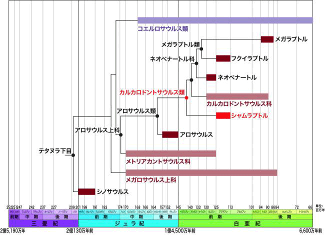 図４．アロサウルス上科の系統関係