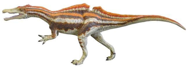 図3. スピノサウルス科イクチオベナートルの生体復元模型（参考／模型制作：荒木一成）。