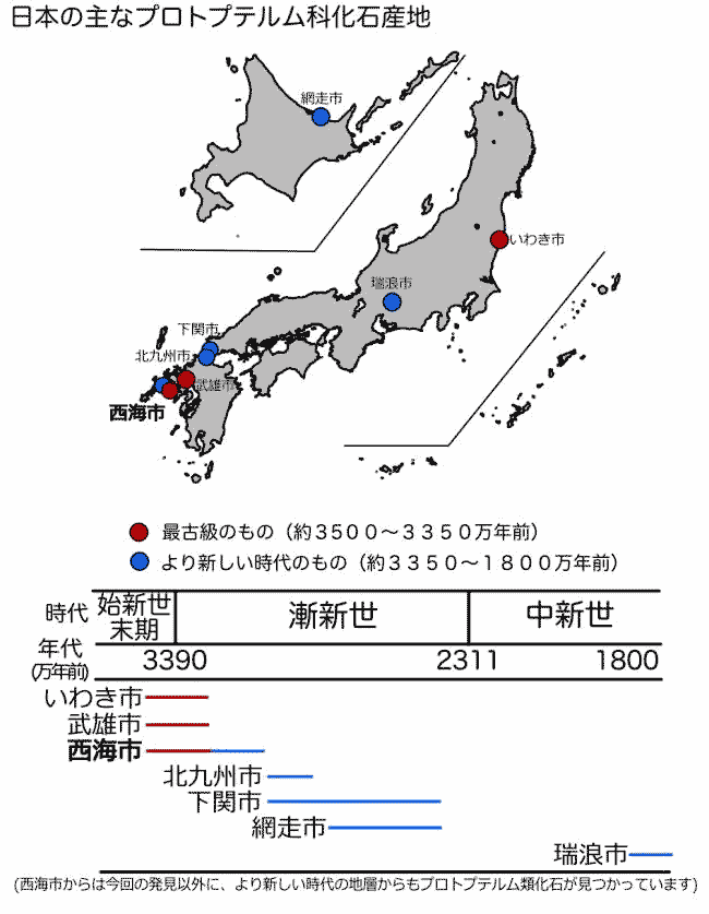 図3. 日本の主なプロプテルム科化石産地。