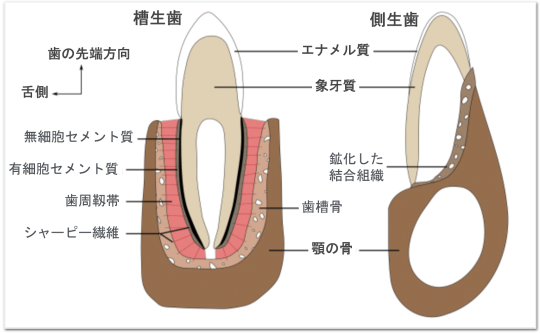 図5