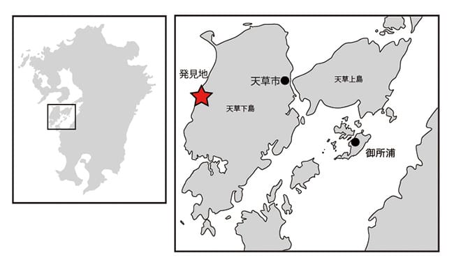 図2 化石の発見地