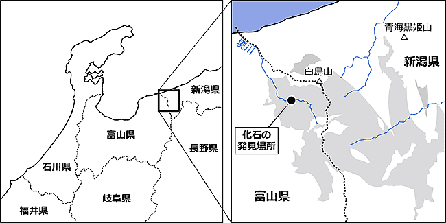 図2 化石の発見地