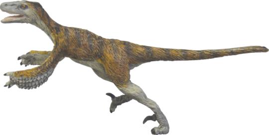 図4.
                    デイノニコサウルス類のドロマエオサウルスの生態復元模型（参考/模型製作：荒木一成）。