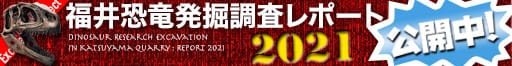 福井恐竜発掘調査レポート2021