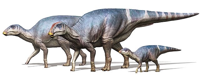 図4 後期白亜紀のハドロサウルス上科の鳥脚類恐竜