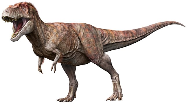 図2 後期白亜紀のティラノサウルス科の獣脚類恐竜