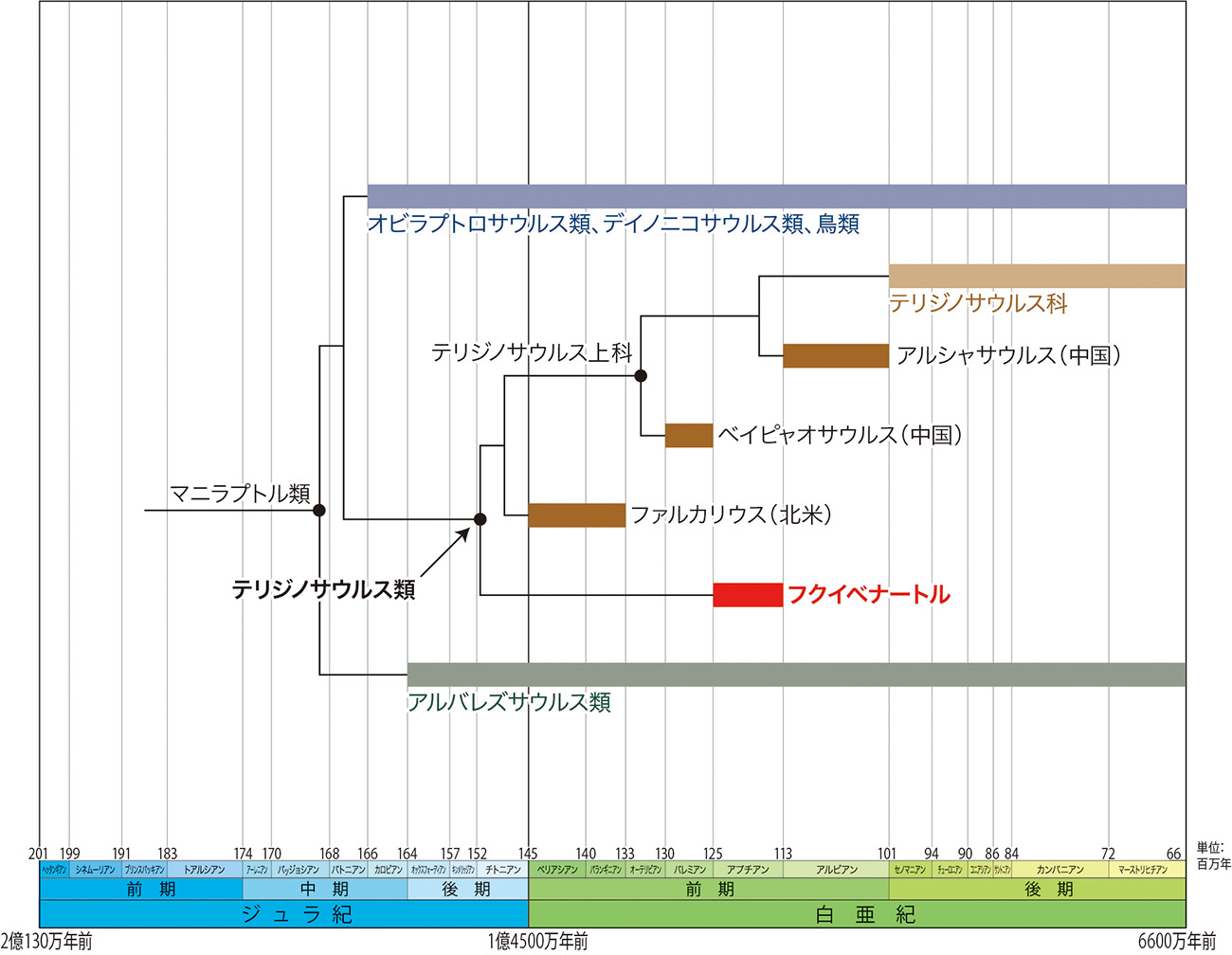 テリジノサウルス類の系統関係と生息年代