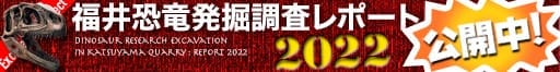 福井恐竜発掘調査レポート2022