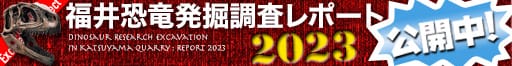 福井恐竜発掘調査レポート2023