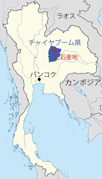 図 1 化石の産地
