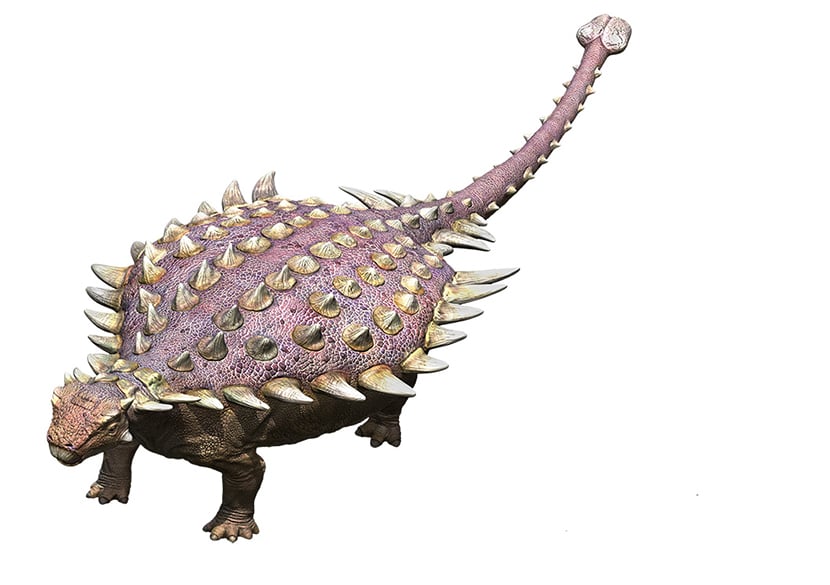 図2　後期白亜紀の鎧竜