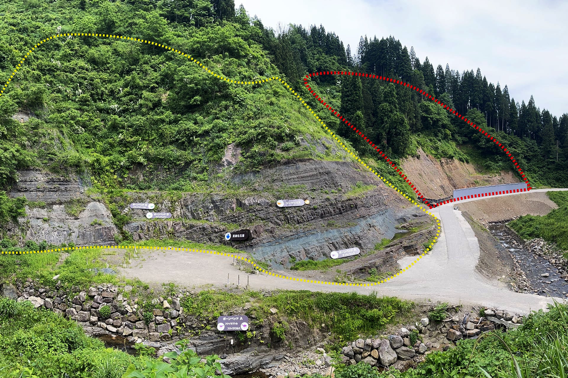 発掘現場全景(赤枠が第五次調査エリア)
