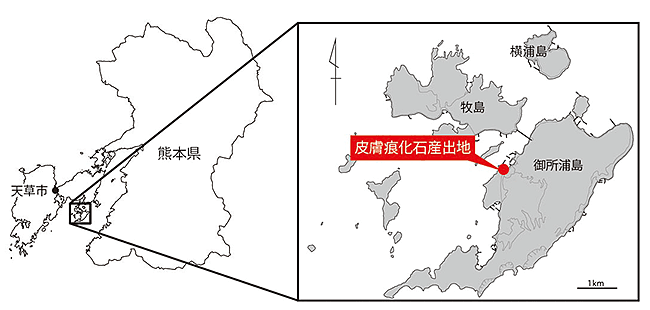 図１．皮膚痕化石が発見された、熊本県天草市御所浦町花岡山（花岡山化石採集場）の位置
