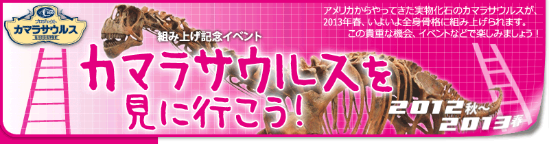 福井県立恐竜博物館 組み上げ記念イベント「カマラサウルスを見に行こう！」（2012年）