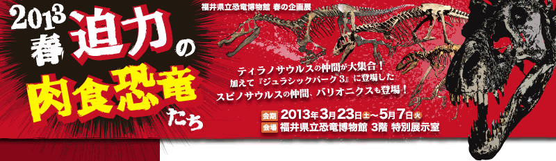 2013春の企画展「迫力の肉食恐竜たち」