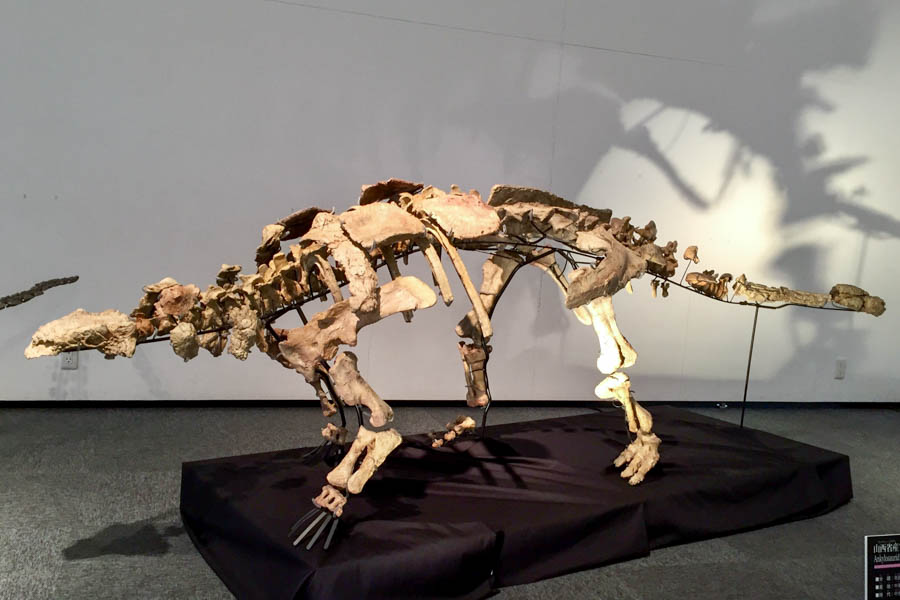 山西省産アンキロサウルス類