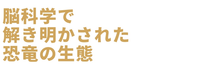 CTを用いた恐竜脳科学