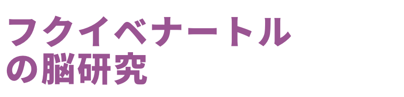 福井県での発掘と恐竜の脳