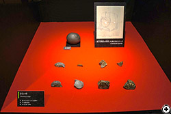 山口県下関市の恐竜卵化石