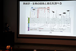 特別展講演会開催のようす