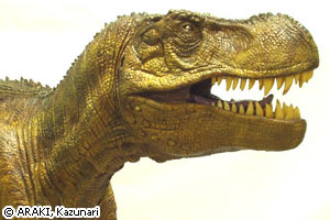 ティラノサウルス・レックス（新作）模型の写真