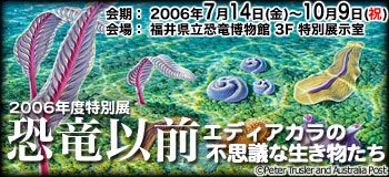 特別展「恐竜以前－エディアカラの不思議な生き物たち－」