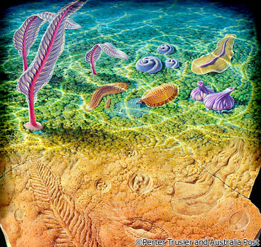「エディアカラ生物群」がいた約6億年前の海の想像図です。
「エディアカラ生物群」とは、現在の動物とは異なる「不思議な生物」であり、また「最初の確実な動物」です。今回の特別展において、世界中の研究者による最先端の研究をもとに、これを明らかにしていきます。
多数の実物化石は、この展示のために世界中から集められた大変貴重なもので、世界で初めて一同に公開展示されるものです。