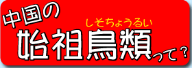 ちゅうごくの しそちょうるいって？