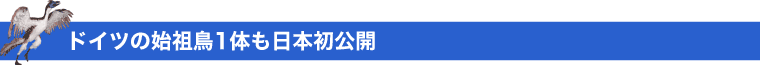 ドイツの始祖鳥1体も日本初公開