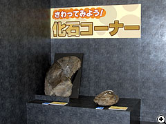 特別展会場内のようす_13（クリックで拡大）