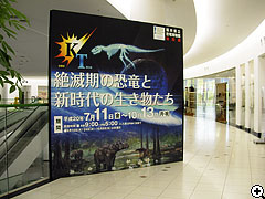 特別展示室の設営風景20080703_1（クリックで拡大）