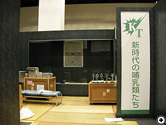 特別展示室の設営風景20080704_1（クリックで拡大）