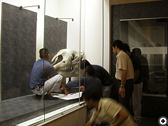 特別展示室の設営風景20080707_1（クリックで拡大）