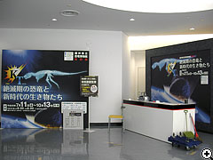 特別展示室の設営風景20080708_1（クリックで拡大）