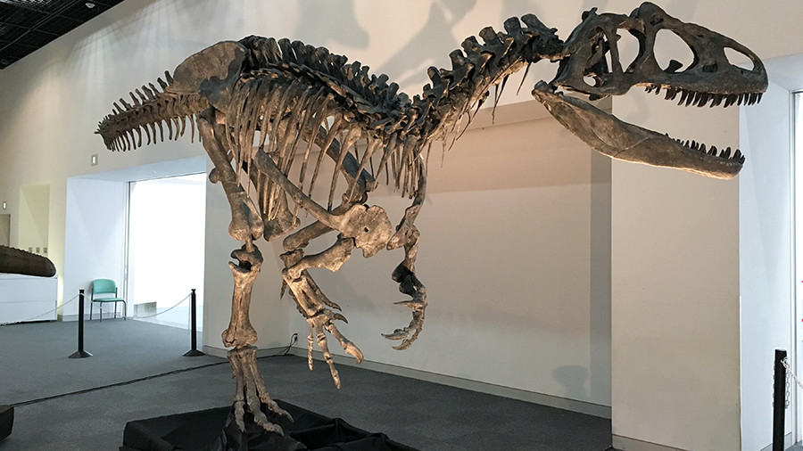 アロサウルス全身骨格