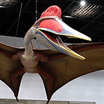 巨大翼竜ケツァルコアトルスの生態復元模型