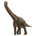 プウィアンゴサウルス復元画