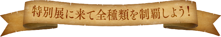 特別展に来て全種類を制覇しよう！