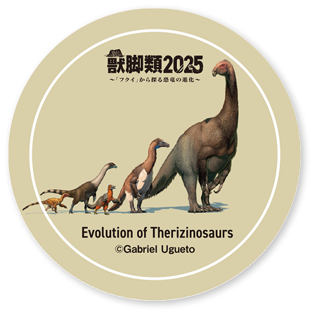 スペシャル企画 - 獣脚類2025｜福井県立恐竜博物館 開館25周年