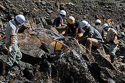 福井県の恐竜発掘調査