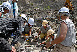 福井県の恐竜発掘調査