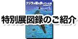 特別展図録のご紹介