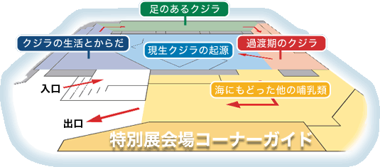 特別展会場コーナーガイド