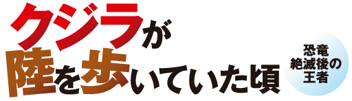 2007年度特別展「クジラが陸を歩いていた頃 ―恐竜絶滅後の王者」