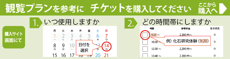 チケット購入